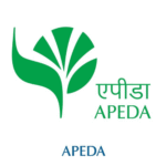 Untitled design - 2025-12-11T120518.505